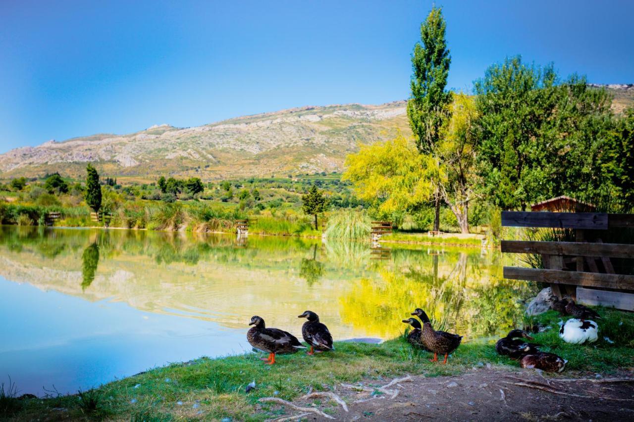 Camping la Peiriere Tuchan Bagian luar foto