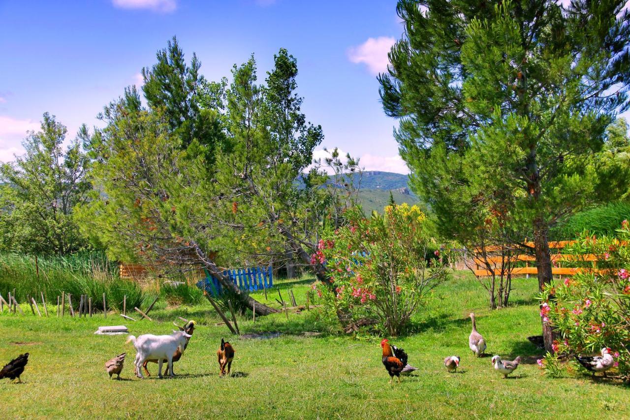 Camping la Peiriere Tuchan Bagian luar foto