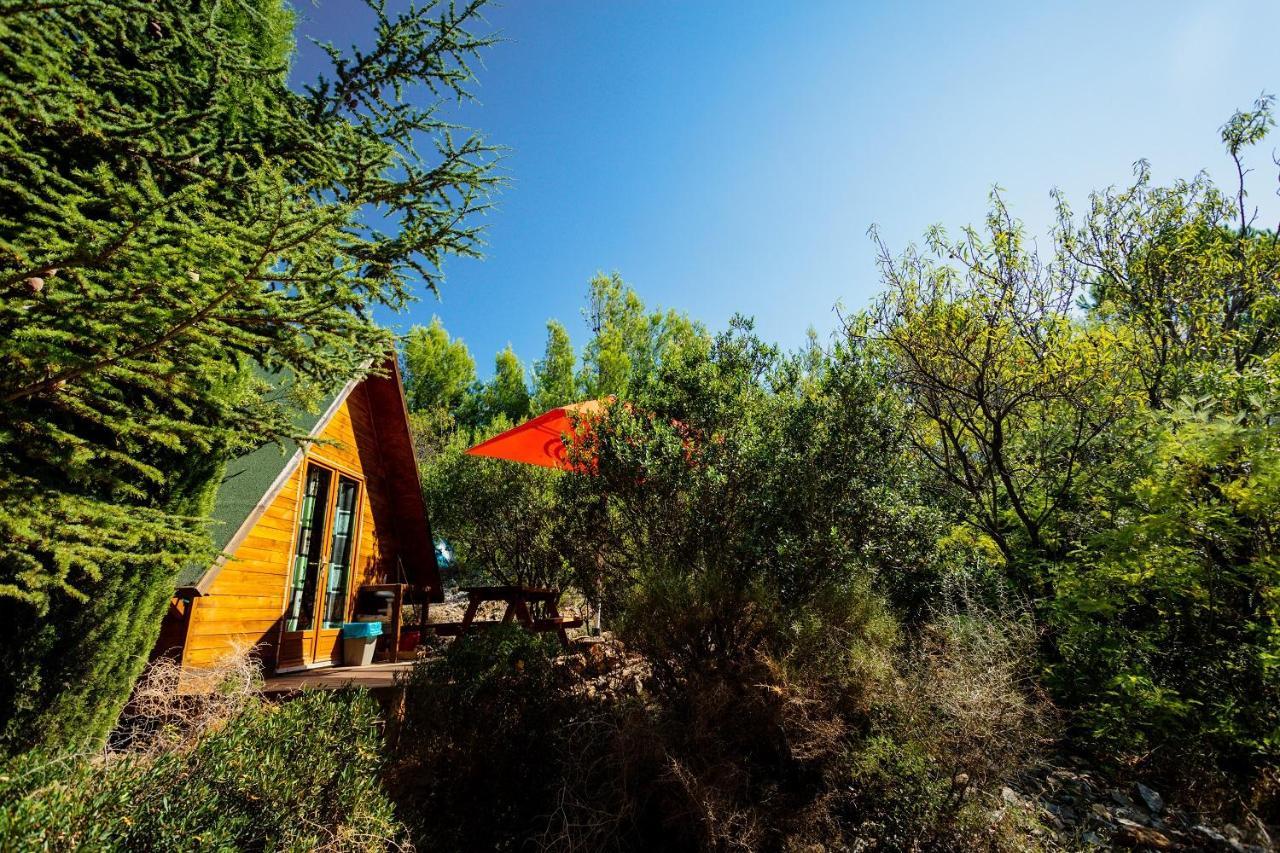 Camping la Peiriere Tuchan Bagian luar foto